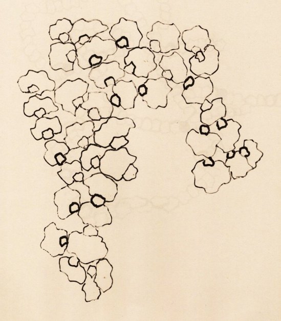 16244103_1064318497024268_873204536_n