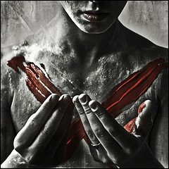 2501873386_00019d1e52_m