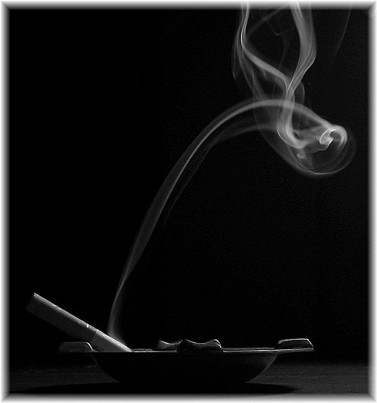 fractalbit_bw-smoke-small