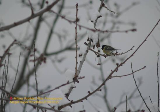 10914826_10153002288956683_7955162054530655204_o