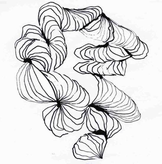 16295737_1064319410357510_749583201_n