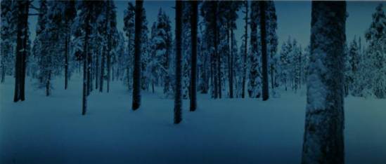 betweenDogandWolf8_2005_4fca1b1f89eb5