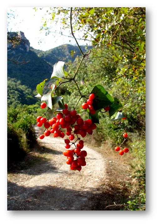 Χωρίς τίτλο (16).jpg