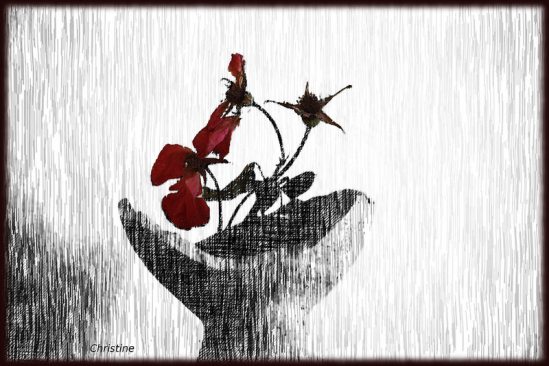 30094478013_a4bc568492_c